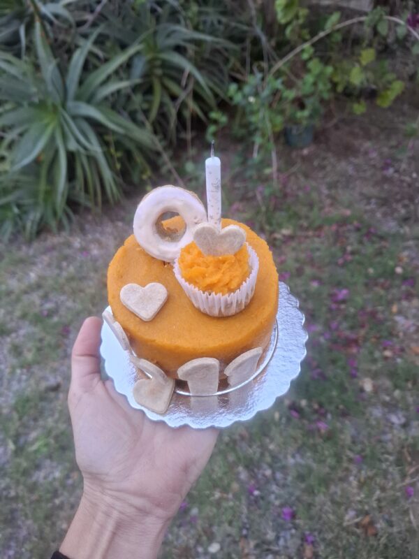 Torta Sunset sabor pollo - Imagen 2