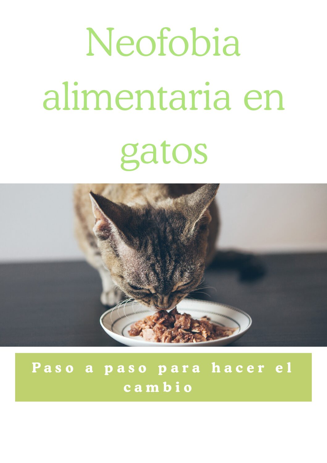 Neofobia alimentaria en gatos